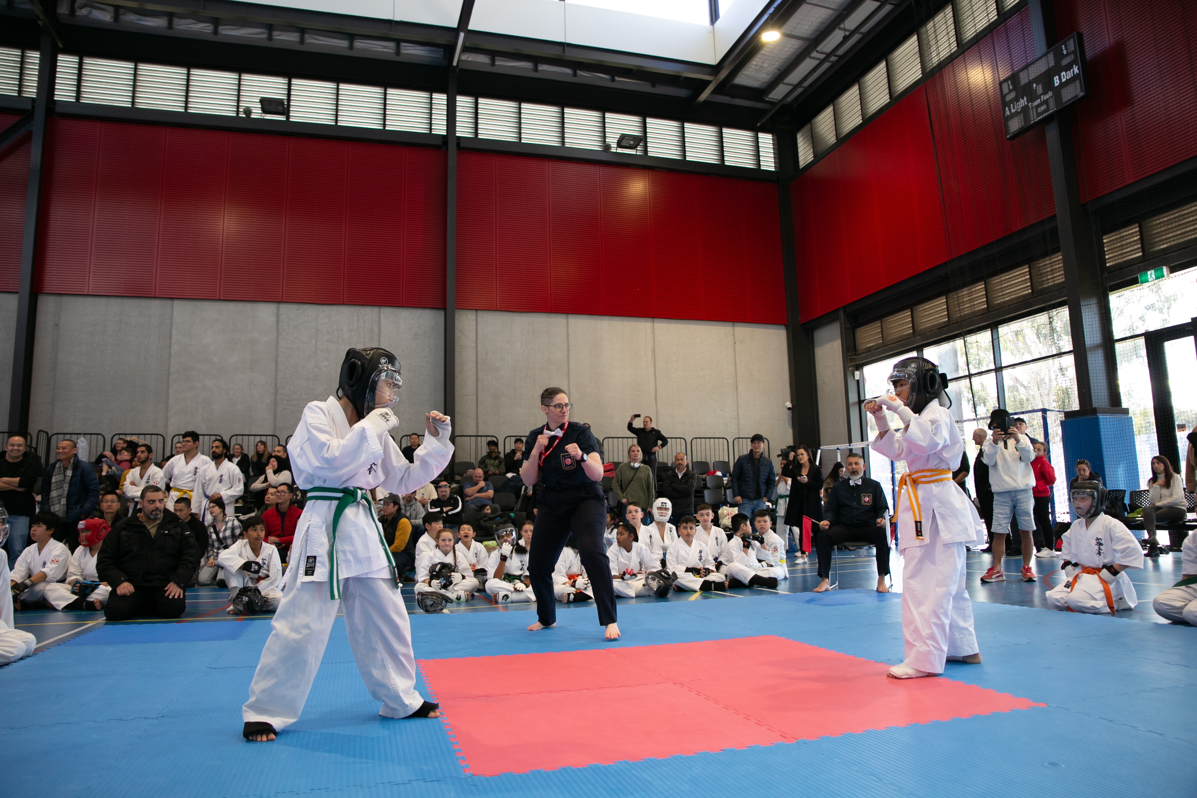 Dojo logo